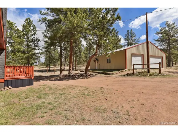 881 Trail Creek, Lake George, CO 80827