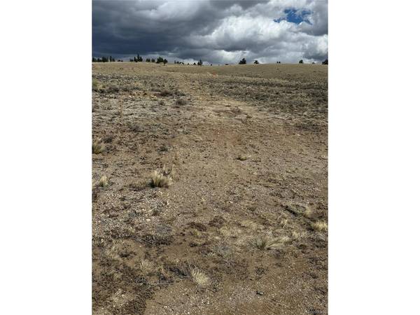 69 Buggy, Hartsel, CO 80449