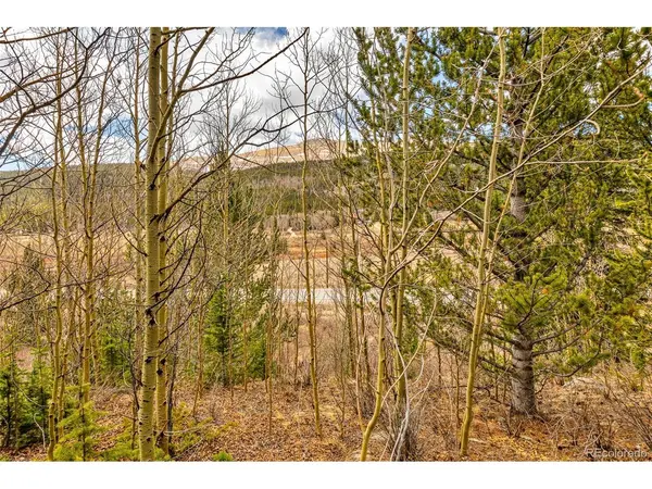 55780 Highway 9, Alma, CO 80440