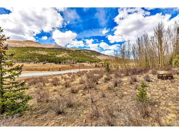 55780 Highway 9, Alma, CO 80440