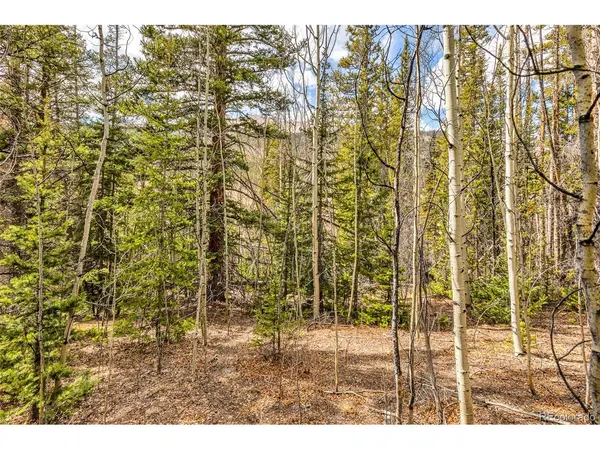 55780 Highway 9, Alma, CO 80440