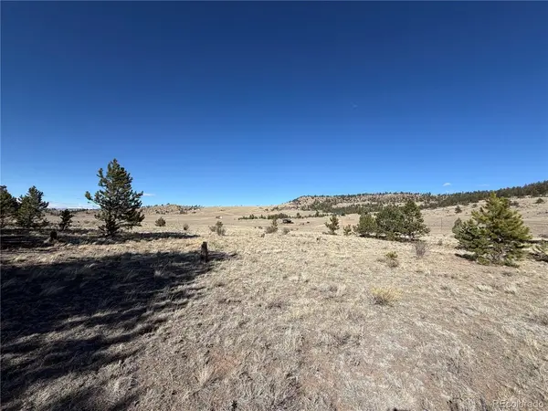 616 Guipago, Hartsel, CO 80449