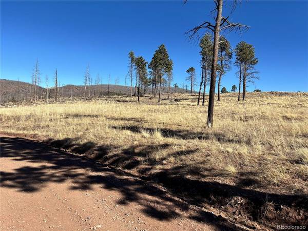 0 Hart Ln., Fort Garland, CO 81133