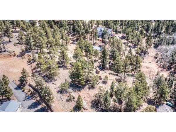 110 La Abu, Florissant, CO 80816