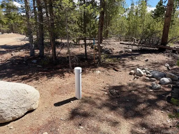 360 Peak View, Leadville, CO 80461