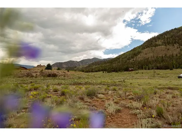 410 Macfarlane, Creede, CO 81130