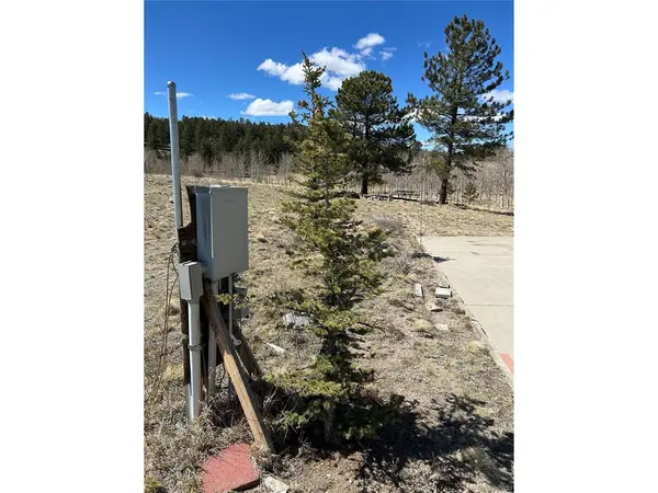 51 Singletree, Hartsel, CO 80449