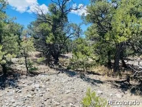 65 Mill, Alamosa, CO 81101