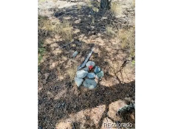 65 Mill, Alamosa, CO 81101