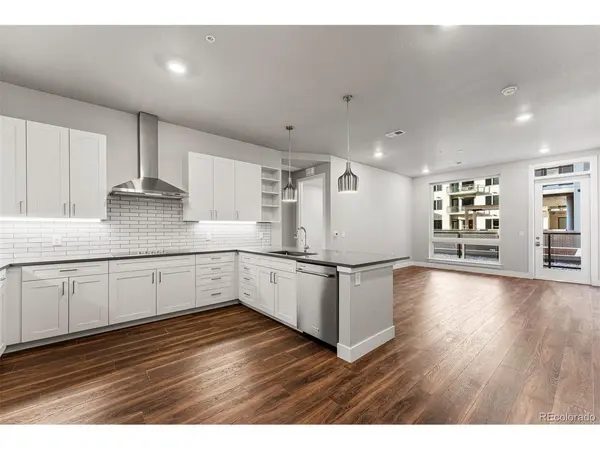 20 Wilcox #207, Castle Rock, CO 80104