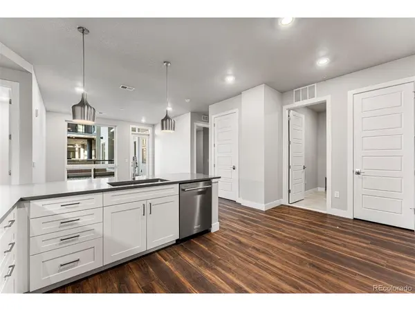 20 Wilcox #207, Castle Rock, CO 80104