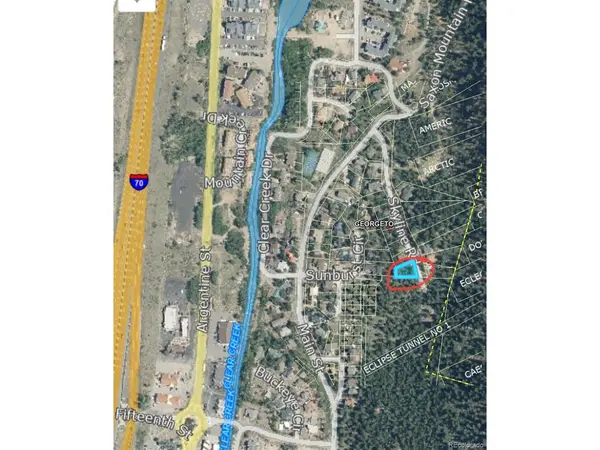 112 Skyline, Georgetown, CO 80444