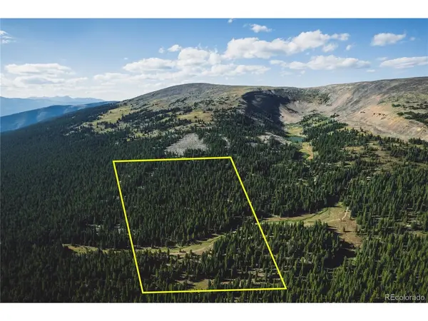 5347 Monitor, Leadville, CO 80461