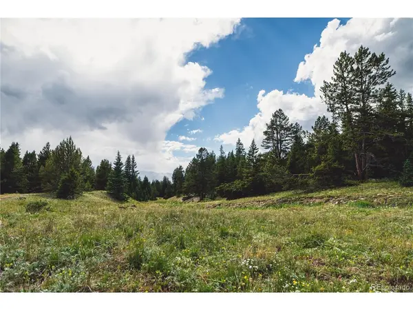 5347 Monitor, Leadville, CO 80461