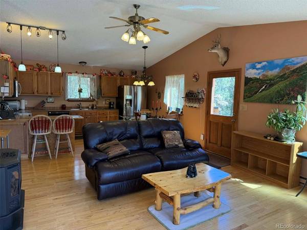 33623 Smith, Pine, CO 80470