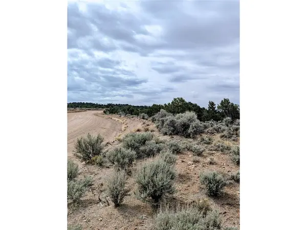 3589 Freylinghuysen, Fort Garland, CO 81133