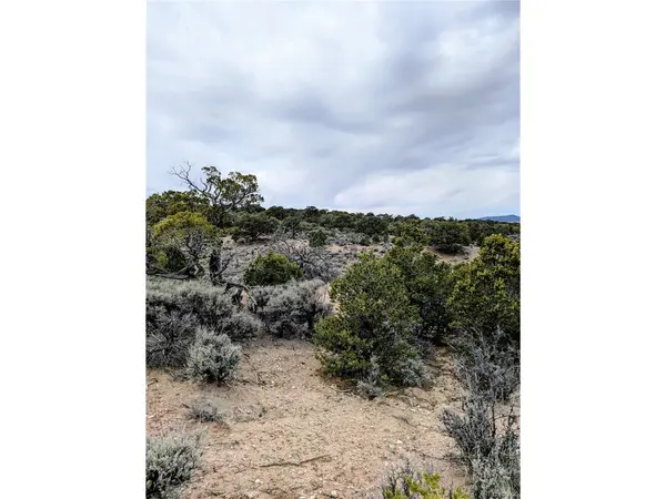 3589 Freylinghuysen, Fort Garland, CO 81133