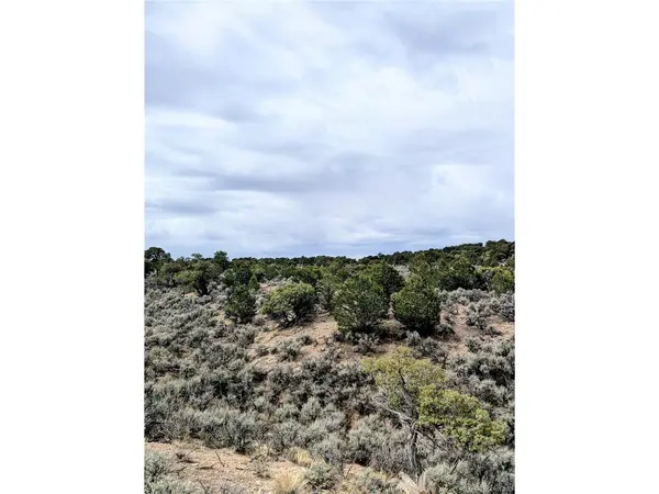 3589 Freylinghuysen, Fort Garland, CO 81133