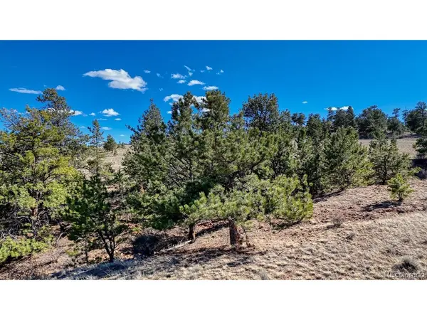 5090 Arikara, Hartsel, CO 80449