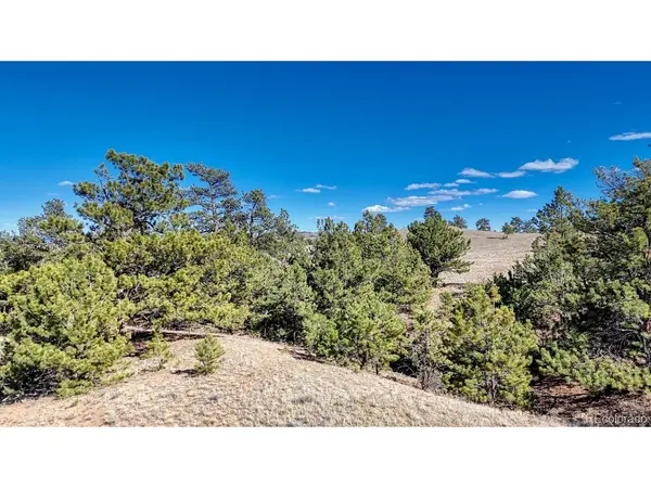 5090 Arikara, Hartsel, CO 80449