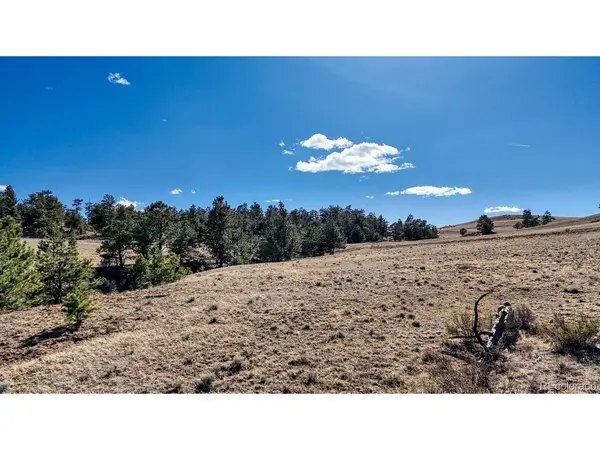 5090 Arikara, Hartsel, CO 80449