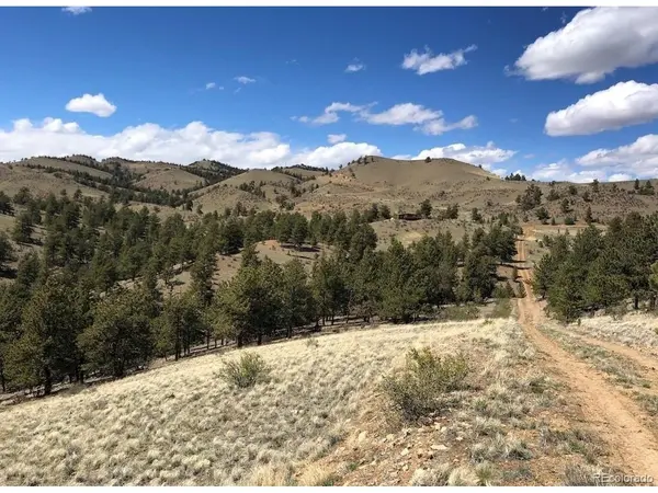 11 Willow, Hartsel, CO 80449