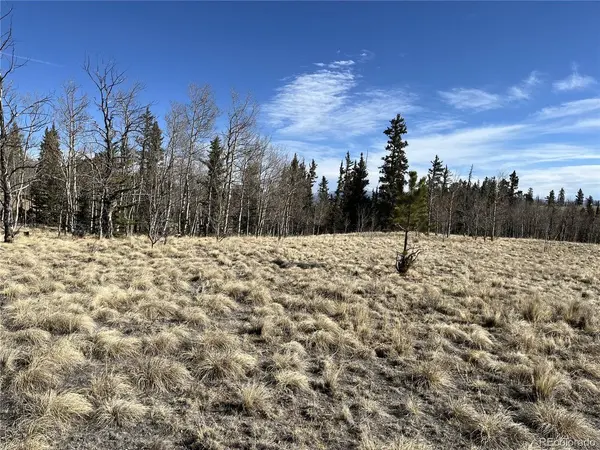 27 Warpath, Como, CO 80432