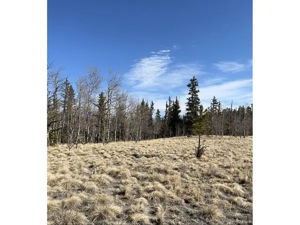 27 Warpath, Como, CO 80432
