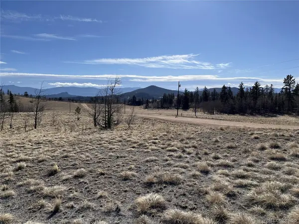 27 Warpath, Como, CO 80432