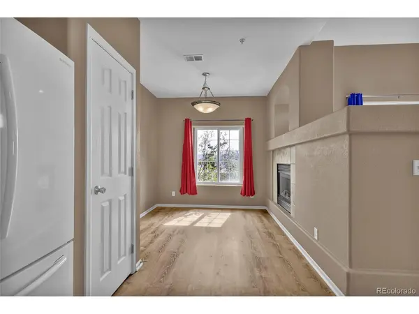 488 Black Feather #215, Castle Rock, CO 80104
