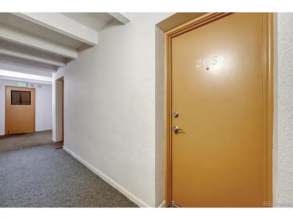 200 N Pearl #205, Denver, CO 80203