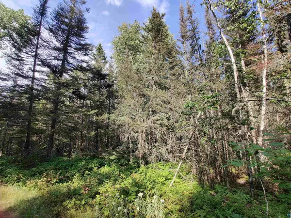 XXX Gauthier Rd, Hovland, MN 55606