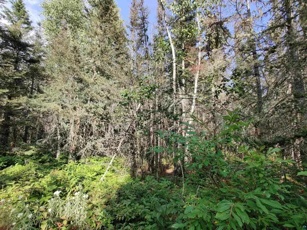 XXX Gauthier Rd, Hovland, MN 55606