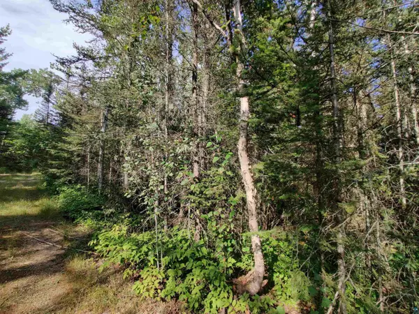 XXX Gauthier Rd, Hovland, MN 55606