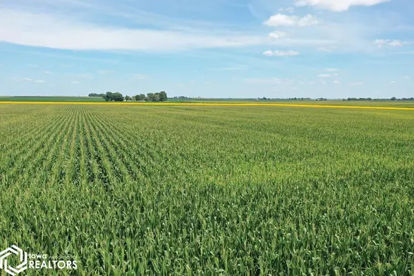 1400th RD, Brocton, IL 61917