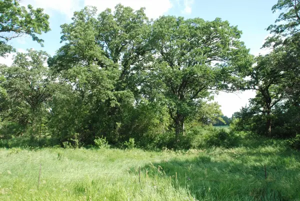 160th ST, Randalia, IA 52164