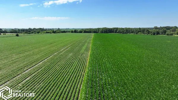 10641 Willow Rd., Westgate, IA 50681