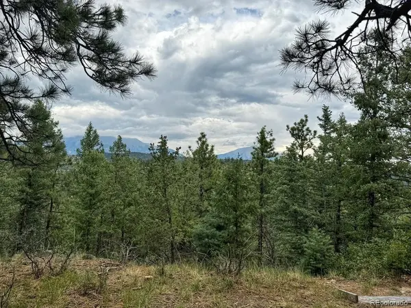 11491 Chinook, Weston, CO 81091