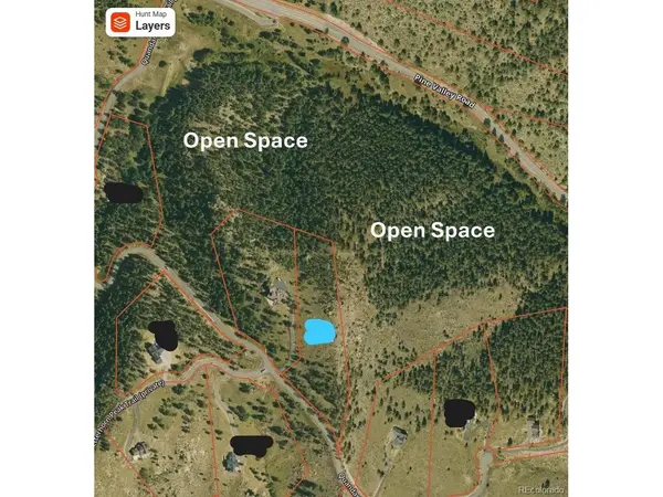 15100 Quandary Peak, Pine, CO 80470