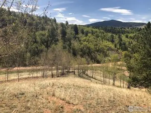 499 Granite, Cripple Creek, CO 80813
