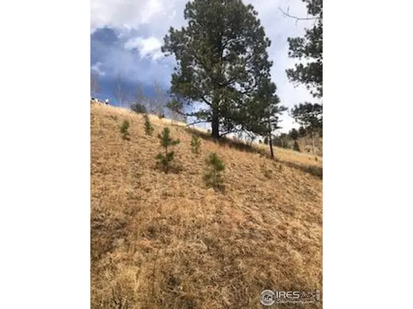 499 Granite, Cripple Creek, CO 80813