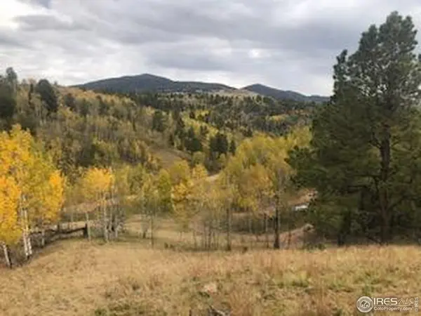 499 Granite, Cripple Creek, CO 80813