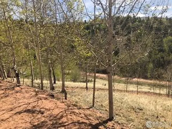 499 Granite, Cripple Creek, CO 80813