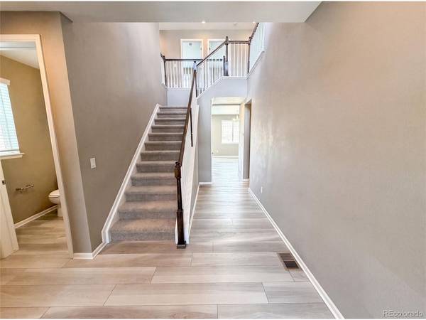 2450 Garganey, Castle Rock, CO 80104