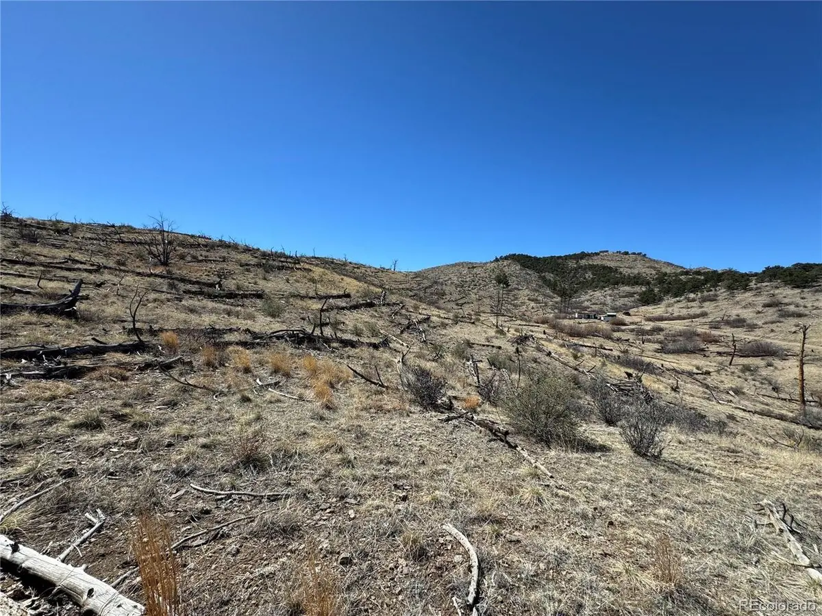 32 F, Cotopaxi, CO 81223
