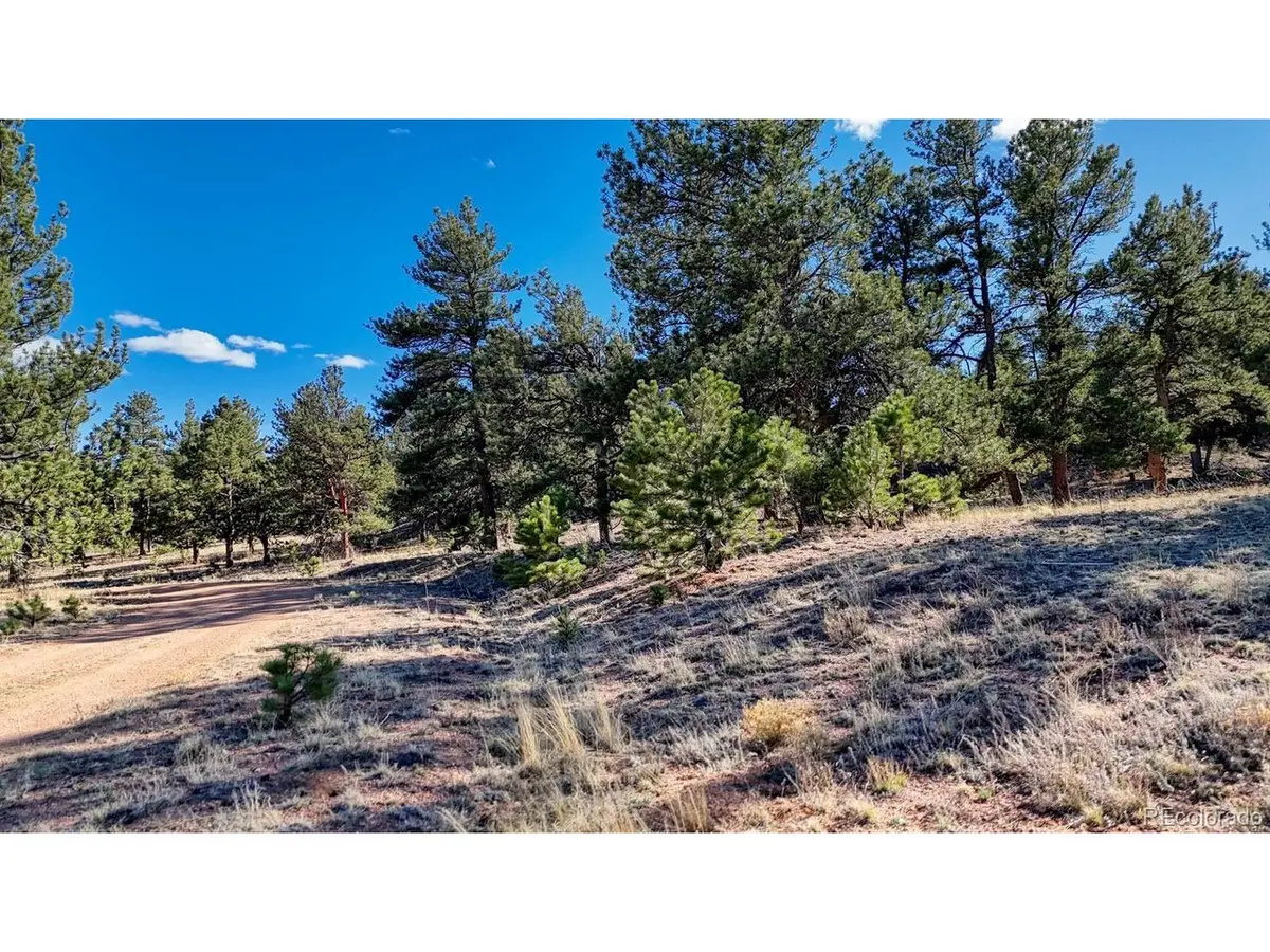 5124 Arikara, Hartsel, CO 80449