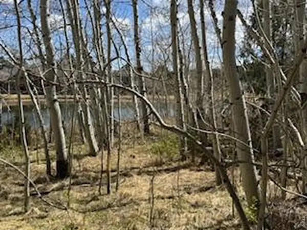 400 Fox Acres, Red Feather Lakes, CO 80545