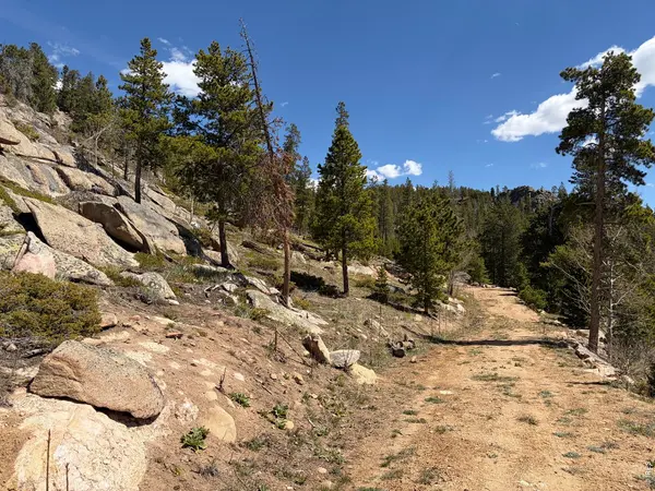 726 Micmac, Red Feather Lakes, CO 80545