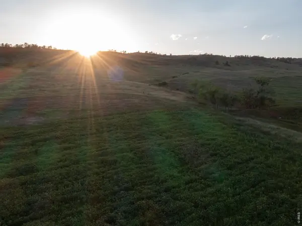 2984 Morning, Loveland, CO 80538