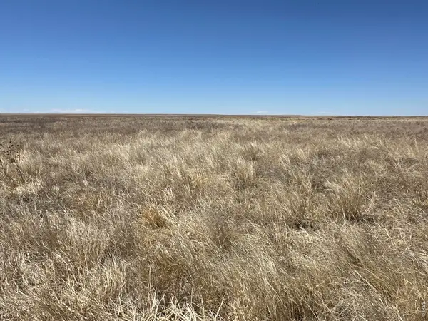 12345 Road 22, Haswell, CO 81045